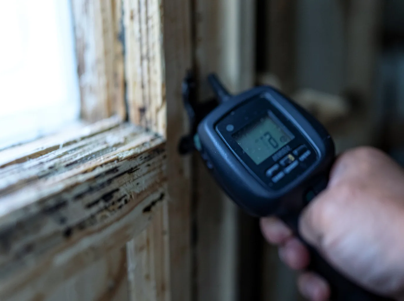 Commercial Water Damage Restoration in Quinault, WA
